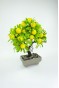 Dekor Ağaç Limon Ağacı Saksılı Dekoratif Ağaç Biblo 24x13 cm