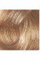 Premium 9.13 Küllü Açık Altın Sarısı - Kalıcı Krem Saç Boyası 50 g Tüp