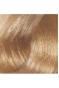 Premium 10.01 Ekstra Doğal Küllü Platin - Kalıcı Krem Saç Boyası 50 g Tüp