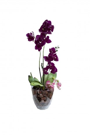 Yakamoz Orkide Saksı No 3 KRS-463
