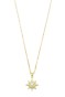 Kuzey Yıldızı Kolye - Altın