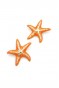 Mineli Deniz Yıldızı Küpe - Turuncu Mineli Deniz Yıldızı Küpe - Turuncu