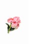 Çiçek Broş - Pembe
