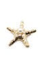 Deniz Yıldızı Broş - Altın